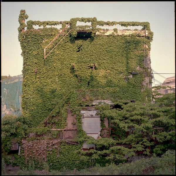 daisuke tanabe season 01 documented by Rin Nagamoto in Shioya, Jun 2024